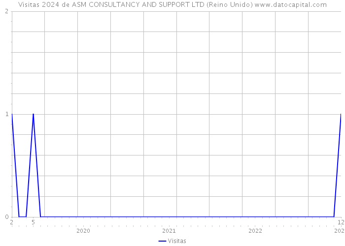 Visitas 2024 de ASM CONSULTANCY AND SUPPORT LTD (Reino Unido) 