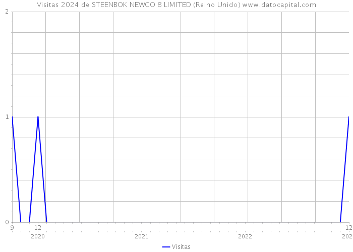 Visitas 2024 de STEENBOK NEWCO 8 LIMITED (Reino Unido) 