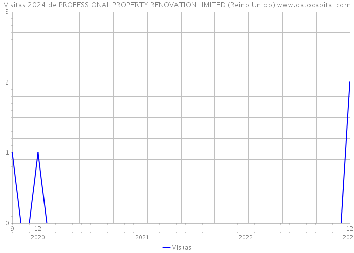 Visitas 2024 de PROFESSIONAL PROPERTY RENOVATION LIMITED (Reino Unido) 