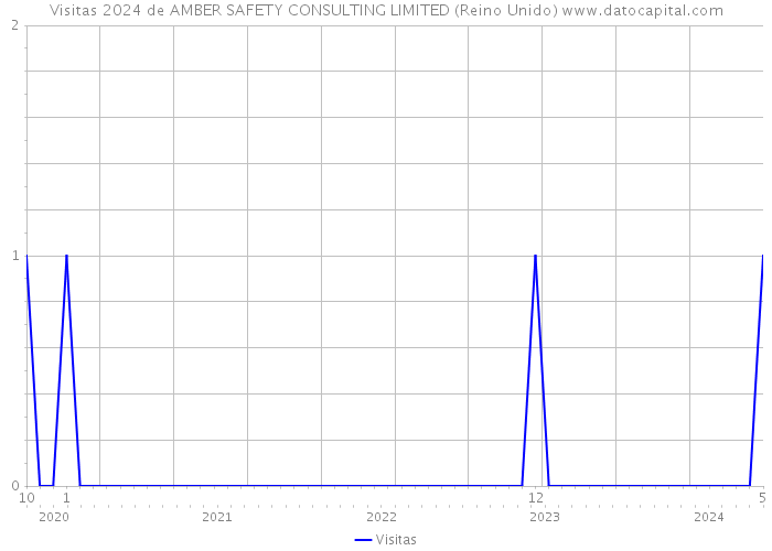 Visitas 2024 de AMBER SAFETY CONSULTING LIMITED (Reino Unido) 