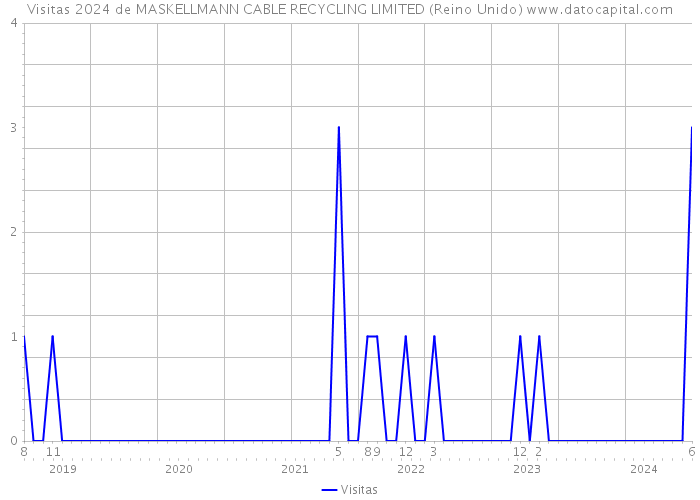 Visitas 2024 de MASKELLMANN CABLE RECYCLING LIMITED (Reino Unido) 