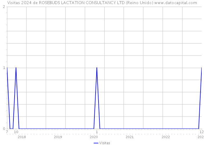 Visitas 2024 de ROSEBUDS LACTATION CONSULTANCY LTD (Reino Unido) 