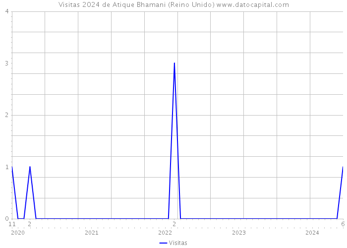 Visitas 2024 de Atique Bhamani (Reino Unido) 