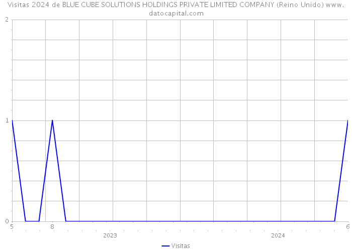 Visitas 2024 de BLUE CUBE SOLUTIONS HOLDINGS PRIVATE LIMITED COMPANY (Reino Unido) 