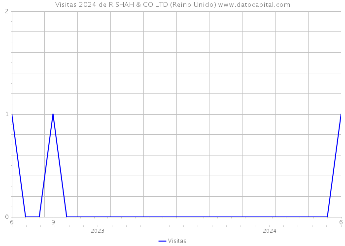 Visitas 2024 de R SHAH & CO LTD (Reino Unido) 