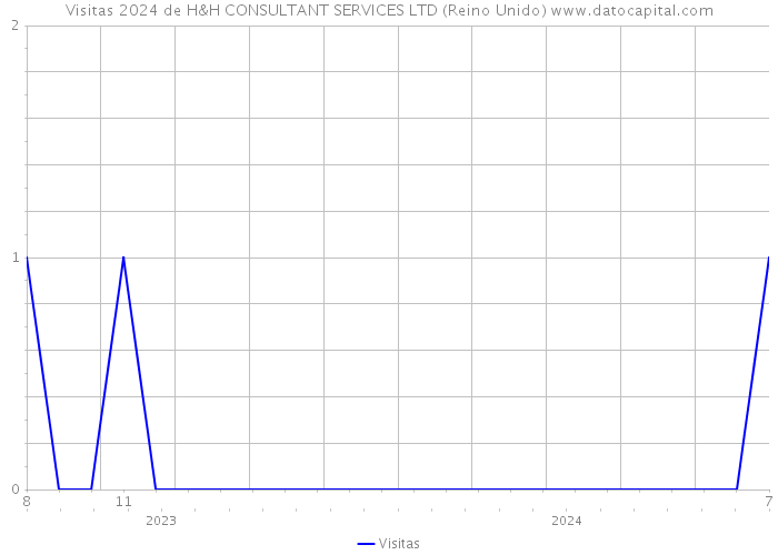 Visitas 2024 de H&H CONSULTANT SERVICES LTD (Reino Unido) 