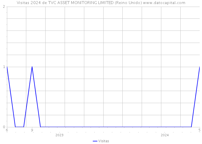 Visitas 2024 de TVC ASSET MONITORING LIMITED (Reino Unido) 