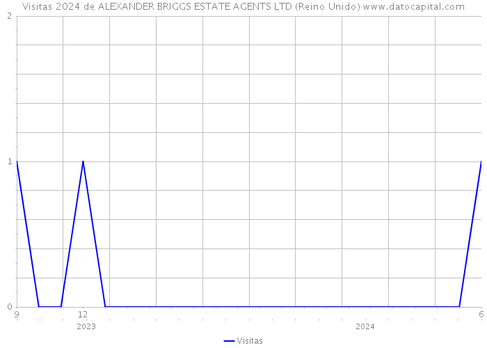 Visitas 2024 de ALEXANDER BRIGGS ESTATE AGENTS LTD (Reino Unido) 