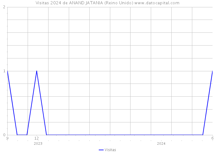 Visitas 2024 de ANAND JATANIA (Reino Unido) 