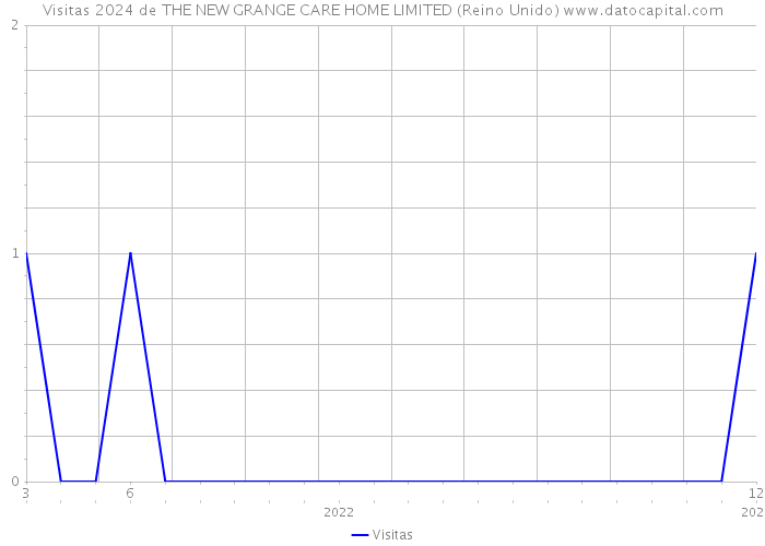 Visitas 2024 de THE NEW GRANGE CARE HOME LIMITED (Reino Unido) 