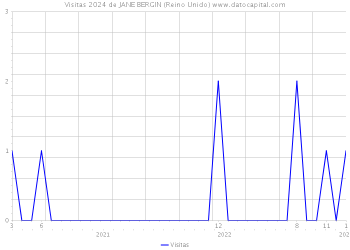 Visitas 2024 de JANE BERGIN (Reino Unido) 