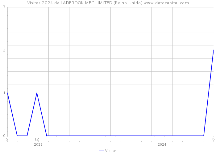 Visitas 2024 de LADBROOK MFG LIMITED (Reino Unido) 