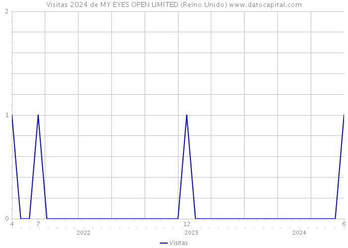 Visitas 2024 de MY EYES OPEN LIMITED (Reino Unido) 