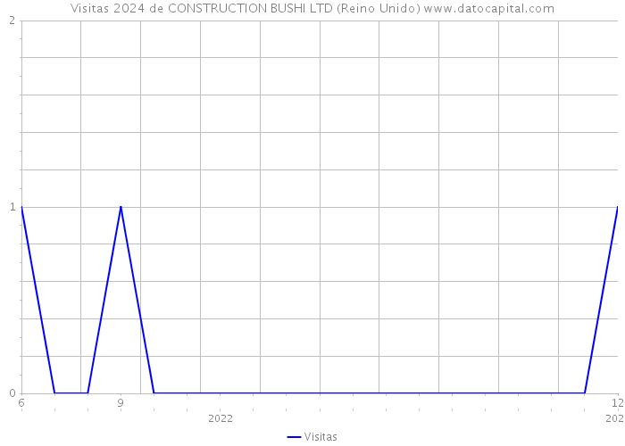 Visitas 2024 de CONSTRUCTION BUSHI LTD (Reino Unido) 