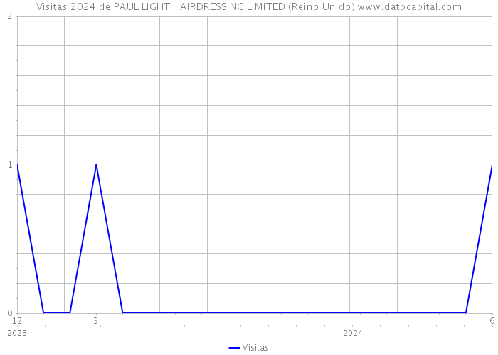 Visitas 2024 de PAUL LIGHT HAIRDRESSING LIMITED (Reino Unido) 