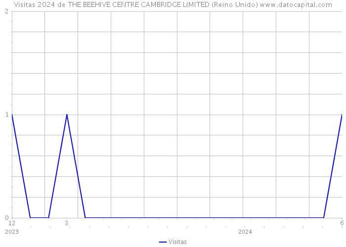 Visitas 2024 de THE BEEHIVE CENTRE CAMBRIDGE LIMITED (Reino Unido) 