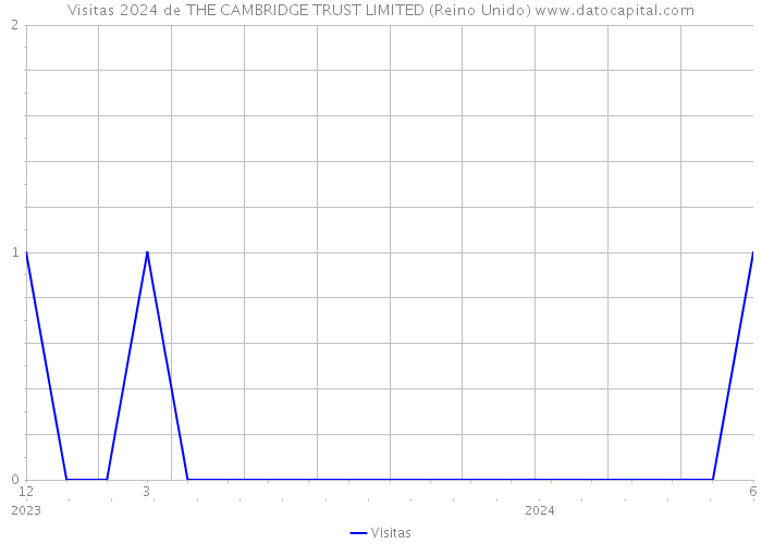 Visitas 2024 de THE CAMBRIDGE TRUST LIMITED (Reino Unido) 