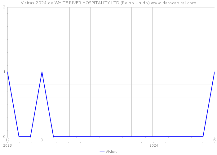 Visitas 2024 de WHITE RIVER HOSPITALITY LTD (Reino Unido) 