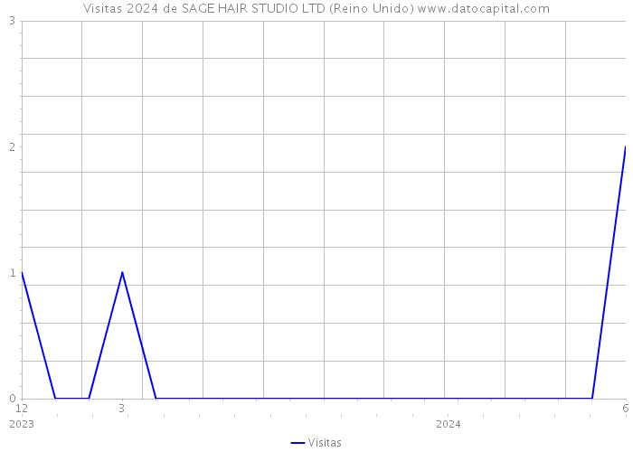 Visitas 2024 de SAGE HAIR STUDIO LTD (Reino Unido) 