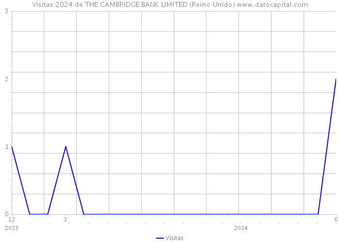 Visitas 2024 de THE CAMBRIDGE BANK LIMITED (Reino Unido) 