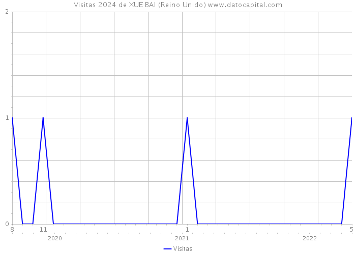 Visitas 2024 de XUE BAI (Reino Unido) 