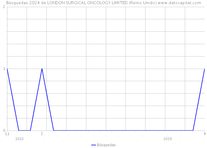 Búsquedas 2024 de LONDON SURGICAL ONCOLOGY LIMITED (Reino Unido) 
