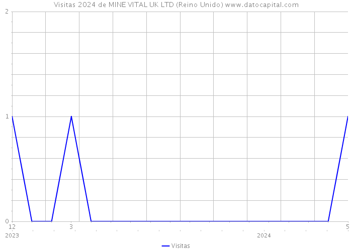 Visitas 2024 de MINE VITAL UK LTD (Reino Unido) 