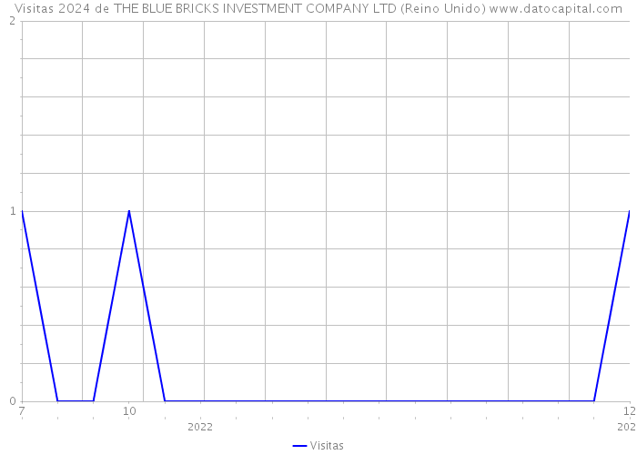 Visitas 2024 de THE BLUE BRICKS INVESTMENT COMPANY LTD (Reino Unido) 