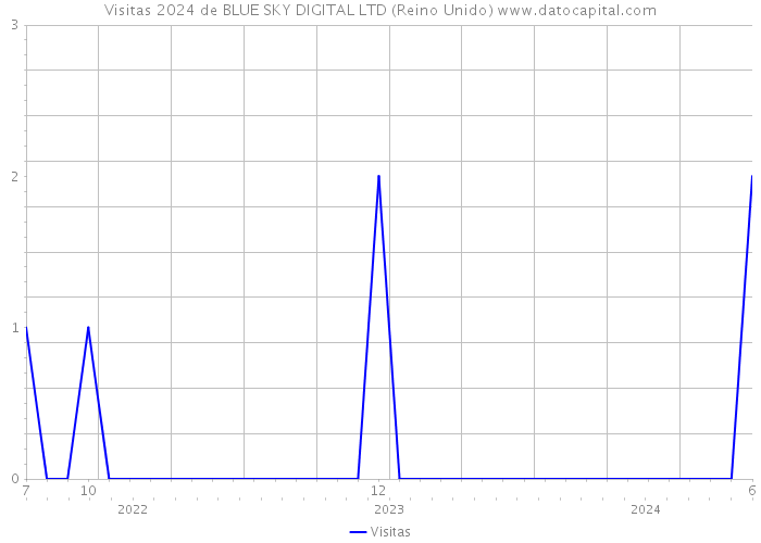 Visitas 2024 de BLUE SKY DIGITAL LTD (Reino Unido) 