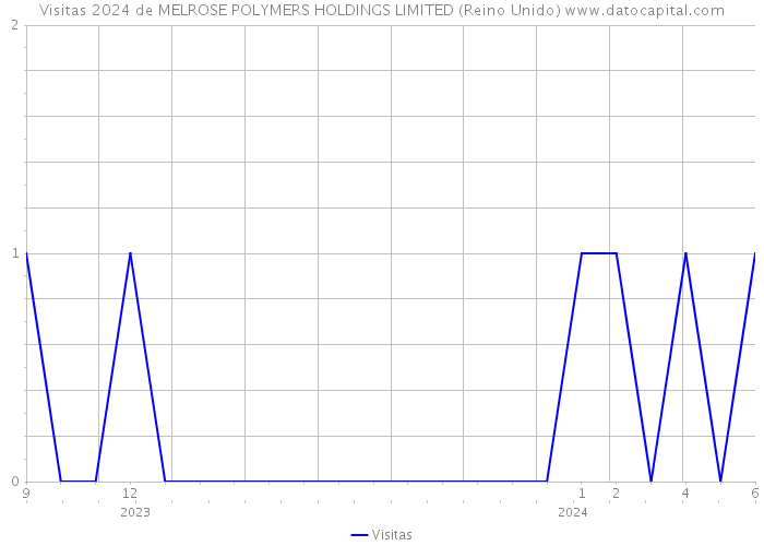 Visitas 2024 de MELROSE POLYMERS HOLDINGS LIMITED (Reino Unido) 