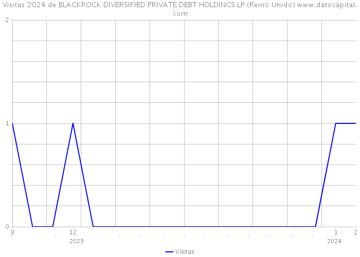 Visitas 2024 de BLACKROCK DIVERSIFIED PRIVATE DEBT HOLDINGS LP (Reino Unido) 
