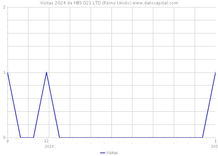 Visitas 2024 de HBS 021 LTD (Reino Unido) 