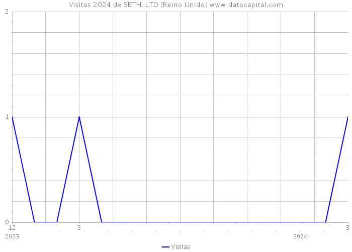 Visitas 2024 de SETHI LTD (Reino Unido) 