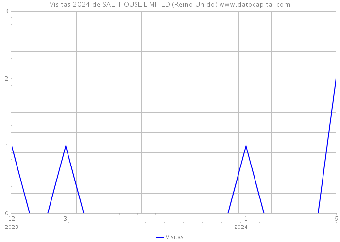 Visitas 2024 de SALTHOUSE LIMITED (Reino Unido) 