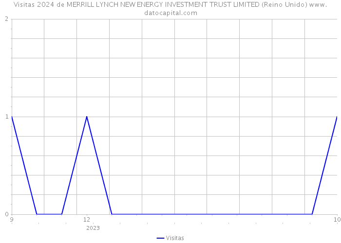 Visitas 2024 de MERRILL LYNCH NEW ENERGY INVESTMENT TRUST LIMITED (Reino Unido) 