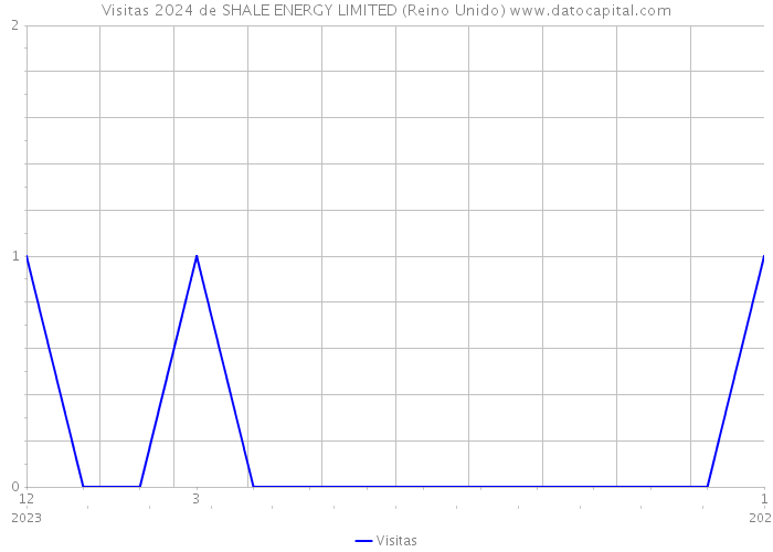 Visitas 2024 de SHALE ENERGY LIMITED (Reino Unido) 