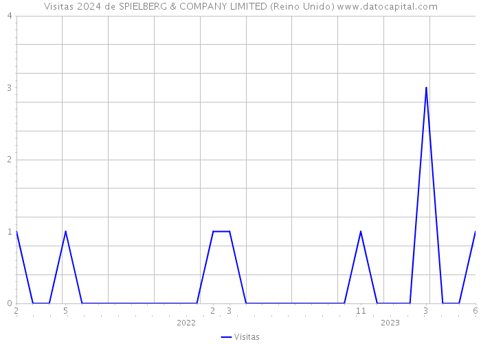 Visitas 2024 de SPIELBERG & COMPANY LIMITED (Reino Unido) 