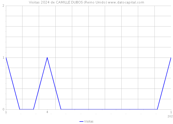 Visitas 2024 de CAMILLE DUBOS (Reino Unido) 