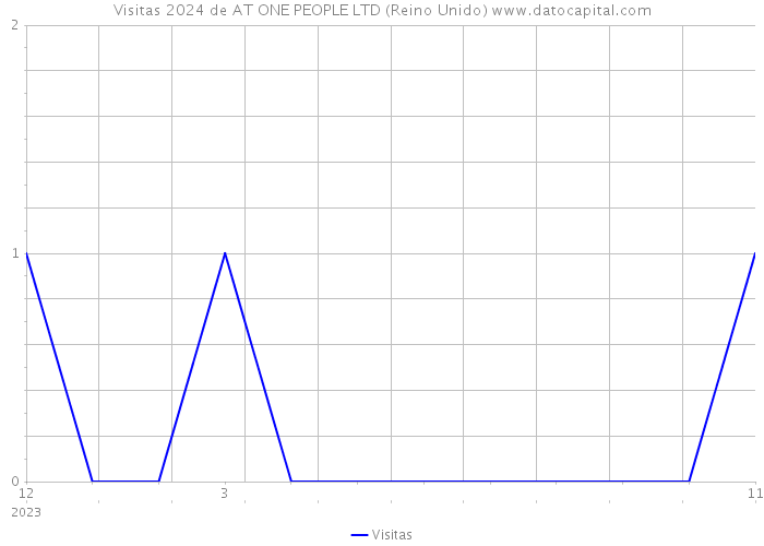 Visitas 2024 de AT ONE PEOPLE LTD (Reino Unido) 