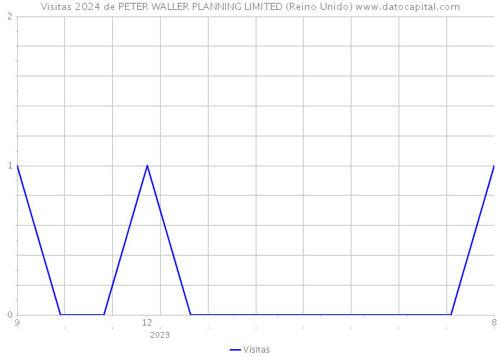 Visitas 2024 de PETER WALLER PLANNING LIMITED (Reino Unido) 