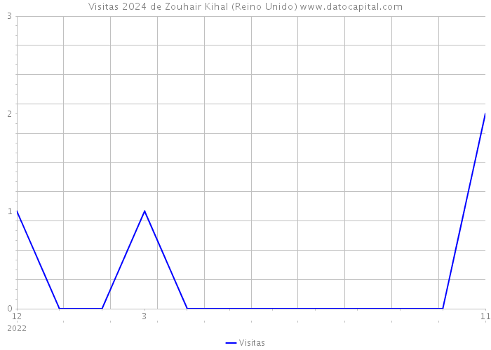 Visitas 2024 de Zouhair Kihal (Reino Unido) 