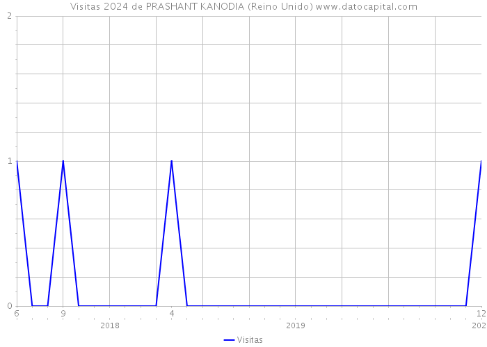 Visitas 2024 de PRASHANT KANODIA (Reino Unido) 