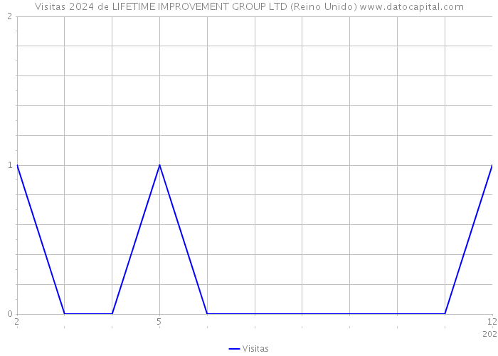 Visitas 2024 de LIFETIME IMPROVEMENT GROUP LTD (Reino Unido) 