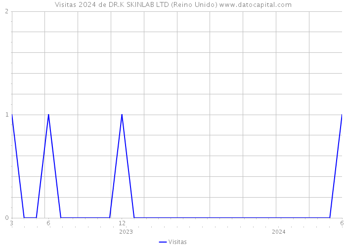 Visitas 2024 de DR.K SKINLAB LTD (Reino Unido) 