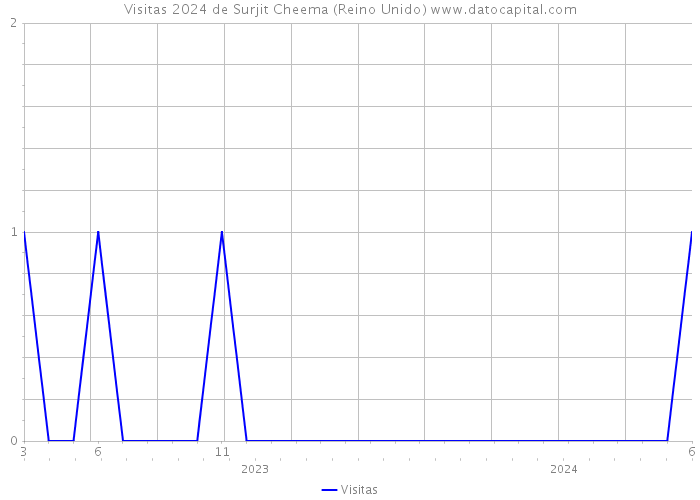 Visitas 2024 de Surjit Cheema (Reino Unido) 