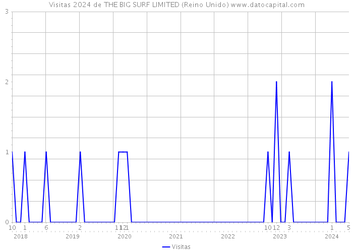 Visitas 2024 de THE BIG SURF LIMITED (Reino Unido) 