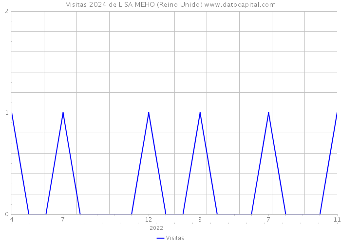 Visitas 2024 de LISA MEHO (Reino Unido) 