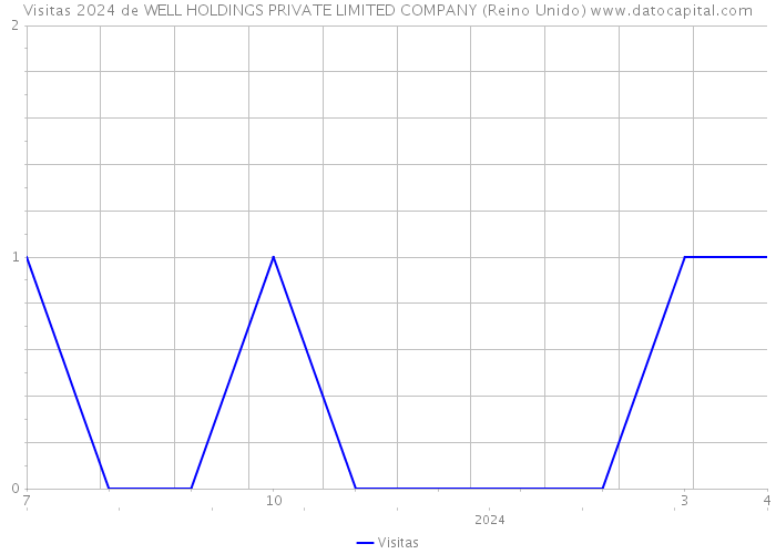 Visitas 2024 de WELL HOLDINGS PRIVATE LIMITED COMPANY (Reino Unido) 