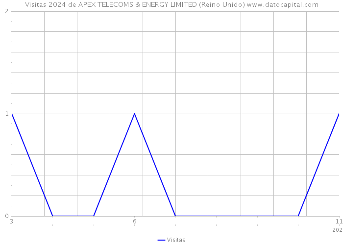 Visitas 2024 de APEX TELECOMS & ENERGY LIMITED (Reino Unido) 