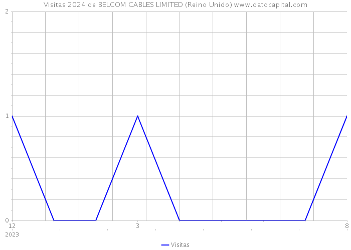 Visitas 2024 de BELCOM CABLES LIMITED (Reino Unido) 